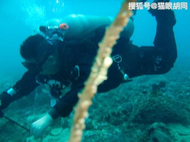 逃离啦啦队员的家