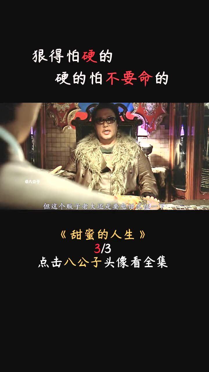 曹操说:生子当如孙仲谋,其实刘备也评价过孙权,却是让人发笑