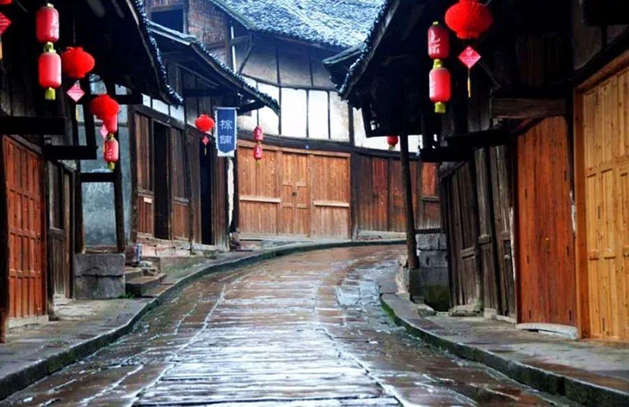 救援鹦鹉